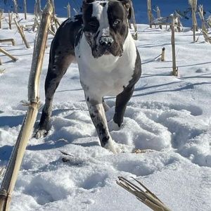 Meet your Posher, Sandy